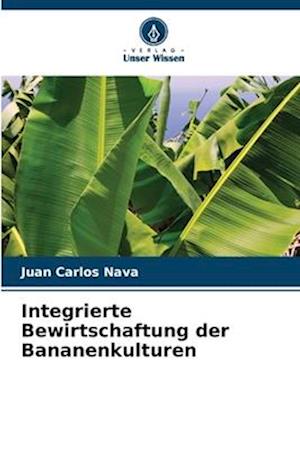 Integrierte Bewirtschaftung der Bananenkulturen