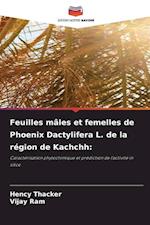 Feuilles mâles et femelles de Phoenix Dactylifera L. de la région de Kachchh: