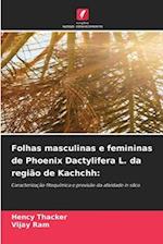 Folhas masculinas e femininas de Phoenix Dactylifera L. da região de Kachchh: