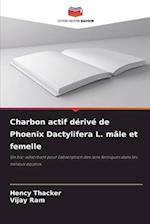 Charbon actif dérivé de Phoenix Dactylifera L. mâle et femelle