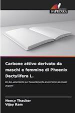 Carbone attivo derivato da maschi e femmine di Phoenix Dactylifera L.