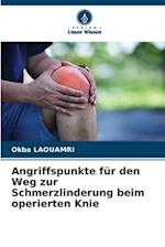 Angriffspunkte für den Weg zur Schmerzlinderung beim operierten Knie