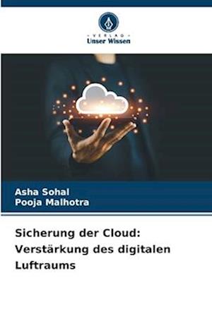 Sicherung der Cloud: Verstärkung des digitalen Luftraums