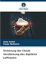 Sicherung der Cloud: Verstärkung des digitalen Luftraums