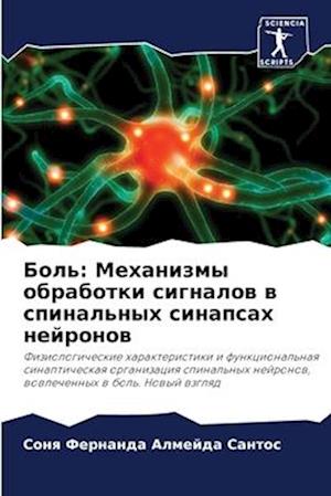 Bol': Mehanizmy obrabotki signalow w spinal'nyh sinapsah nejronow