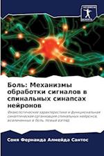 Bol': Mehanizmy obrabotki signalow w spinal'nyh sinapsah nejronow