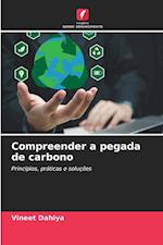 Compreender a pegada de carbono