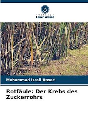 Rotfäule: Der Krebs des Zuckerrohrs