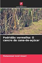 Podridão vermelha: O cancro da cana-de-açúcar