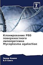 Klonirowanie P80 powerhnostnogo lipoproteina Mycoplasma agalactiae