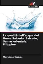 La qualità dell'acqua del fiume Salcedo, Salcedo, Samar orientale, Filippine