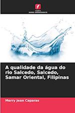 A qualidade da água do rio Salcedo, Salcedo, Samar Oriental, Filipinas