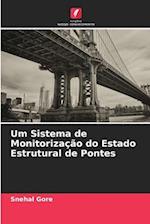 Um Sistema de Monitorização do Estado Estrutural de Pontes