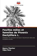 Feuilles mâles et femelles de Phoenix Dactylifera L.