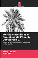 Folhas masculinas e femininas de Phoenix Dactylifera L.