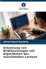 Erkennung von Bildfälschungen mit Algorithmen des maschinellen Lernens