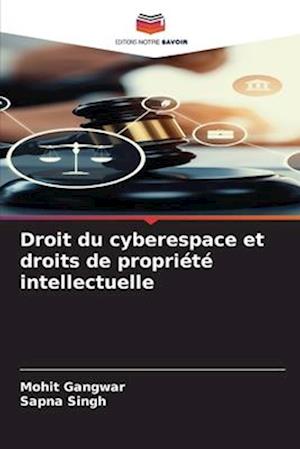 Droit du cyberespace et droits de propriété intellectuelle