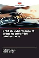 Droit du cyberespace et droits de propriété intellectuelle