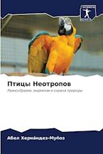 Pticy Neotropow