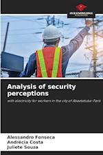 Analysis of security perceptions