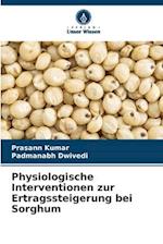 Physiologische Interventionen zur Ertragssteigerung bei Sorghum