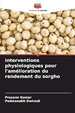 Interventions physiologiques pour l'amélioration du rendement du sorgho