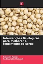 Intervenções fisiológicas para melhorar o rendimento do sorgo