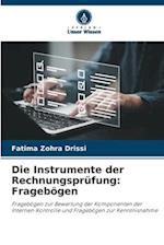 Die Instrumente der Rechnungsprüfung: Fragebögen