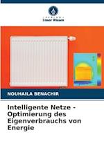 Intelligente Netze - Optimierung des Eigenverbrauchs von Energie