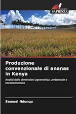 Produzione convenzionale di ananas in Kenya