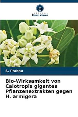 Bio-Wirksamkeit von Calotropis gigantea Pflanzenextrakten gegen H. armigera