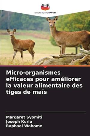 Micro-organismes efficaces pour améliorer la valeur alimentaire des tiges de maïs