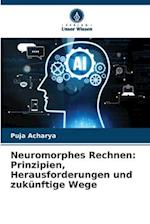 Neuromorphes Rechnen: Prinzipien, Herausforderungen und zukünftige Wege