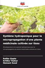 Système hydroponique pour la micropropagation d'une plante médicinale cultivée sur tissu