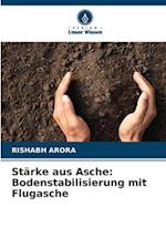 Stärke aus Asche: Bodenstabilisierung mit Flugasche