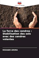 La force des cendres : Stabilisation des sols avec des cendres volantes