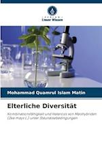 Elterliche Diversität