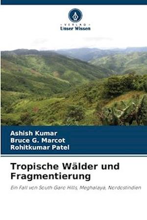 Tropische Wälder und Fragmentierung