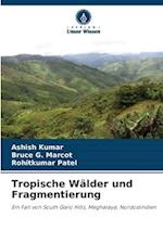 Tropische Wälder und Fragmentierung