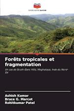 Forêts tropicales et fragmentation