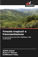 Foreste tropicali e frammentazione