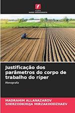 Justificação dos parâmetros do corpo de trabalho do ríper