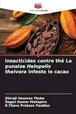 Insecticides contre thé La punaise Helopelis theivora infeste le cacao