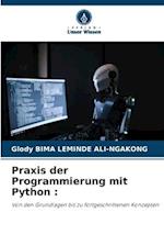 Praxis der Programmierung mit Python :