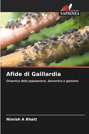 Afide di Gaillardia