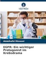 EGFR: Ein wichtiger Protagonist im Krebsdrama