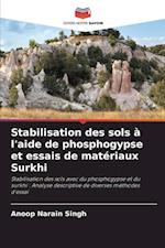 Stabilisation des sols à l'aide de phosphogypse et essais de matériaux Surkhi