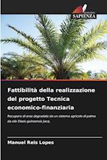 Fattibilità della realizzazione del progetto Tecnica economico-finanziaria