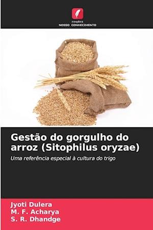 Gestão do gorgulho do arroz (Sitophilus oryzae)