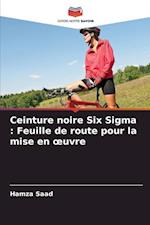 Ceinture noire Six Sigma : Feuille de route pour la mise en ¿uvre